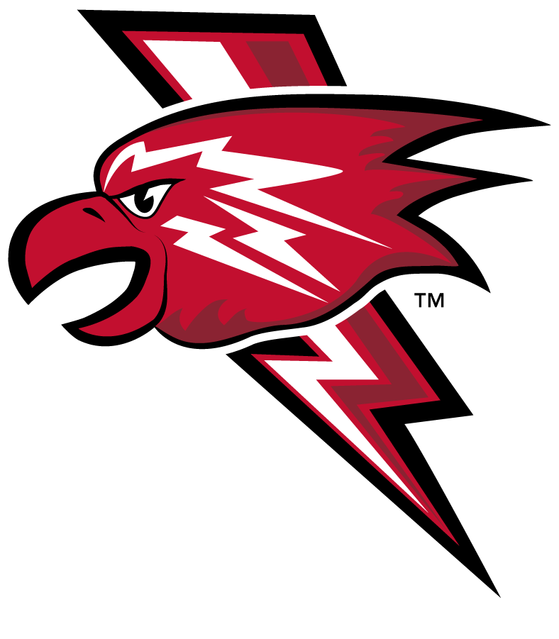 St. John's Red Storm 2013-2015 Misc Logo iron on transfers for T-shirts